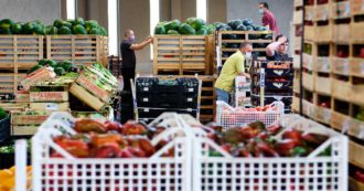 Copertina di Con il Covid è diminuito lo spreco alimentare: -12% nel 2020. Ma si buttano ancora 5,2 milioni di tonnellate di cibo