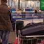 Copertina di Cani, gatti e animali domestici potranno viaggiare nella cabina degli aerei: le nuove direttive dell’Enac