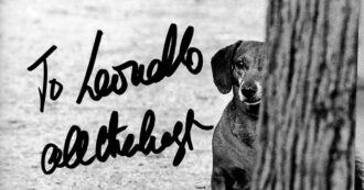 Copertina di Elliott Erwitt ci ammonisce a usare la fotografia come occasione di leggerezza, d’incontri e di vita