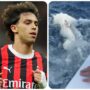 Copertina di “Crudeltà verso gli animali”: Joao Felix nella bufera dopo i video con uno squalo martello