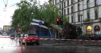 Nubifragio a Milano, grosso albero si abbatte su un chiosco in piazza Baiamonti. Il video